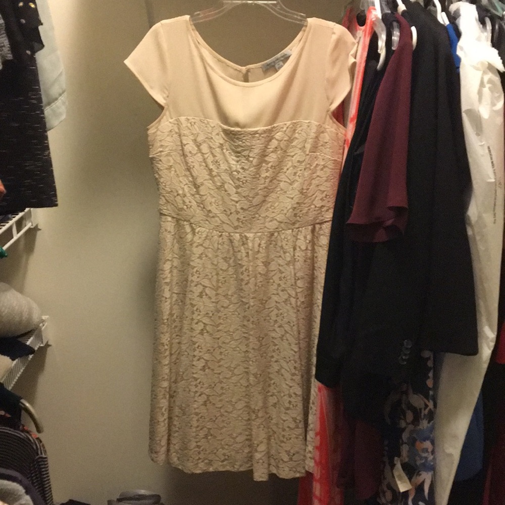 Danny and Nicole Size 10 Dress